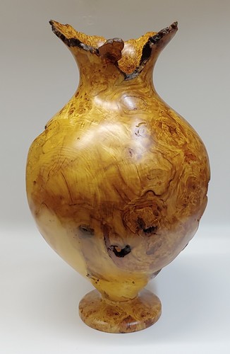 Click to view detail for JW-203 Aspen Burl Hollowed Vessel 17x10 $1000